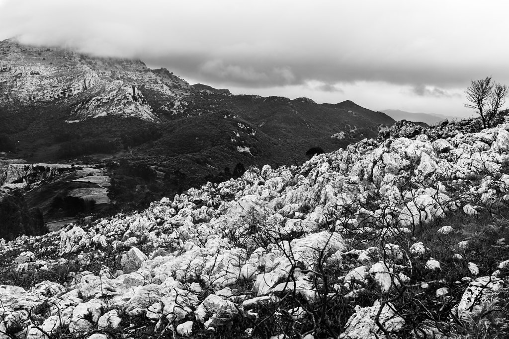 el-camino-15.jpg