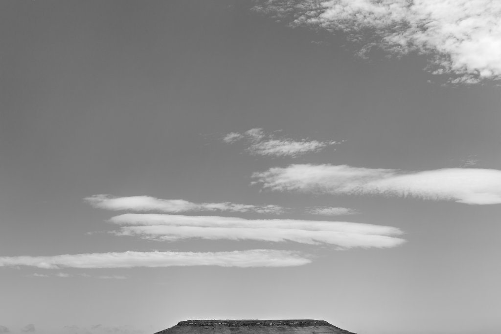 el-camino-16.jpg