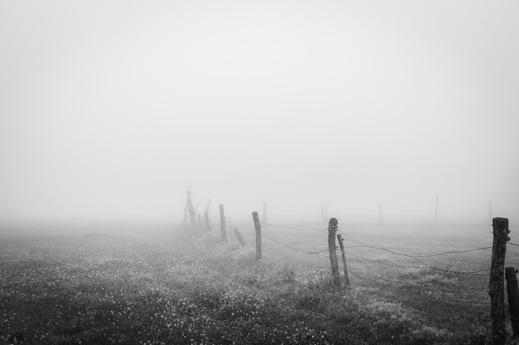 el-camino-22.jpg