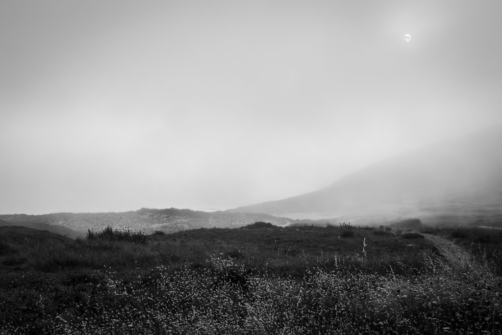 el-camino-24.jpg