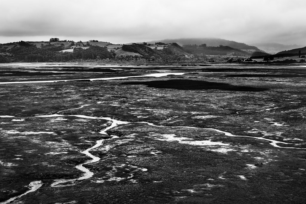 el-camino-18.jpg