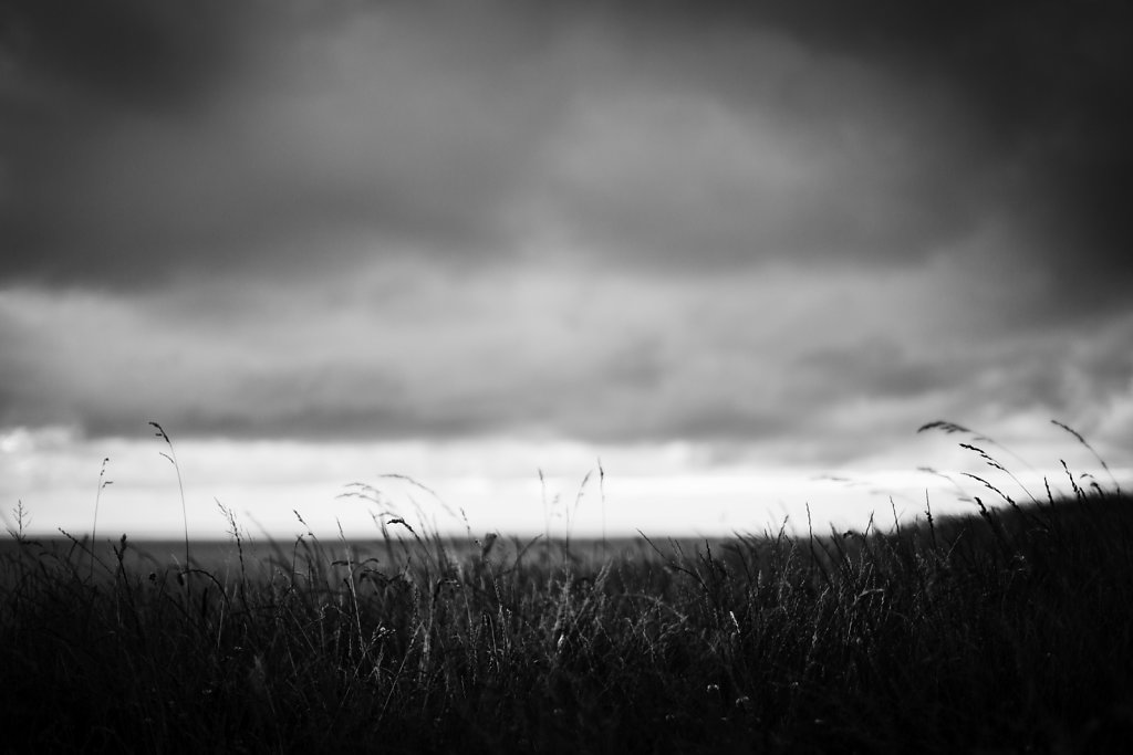 IMG-4336.JPG